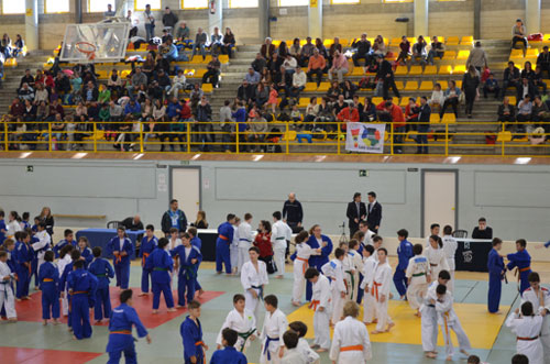 judo