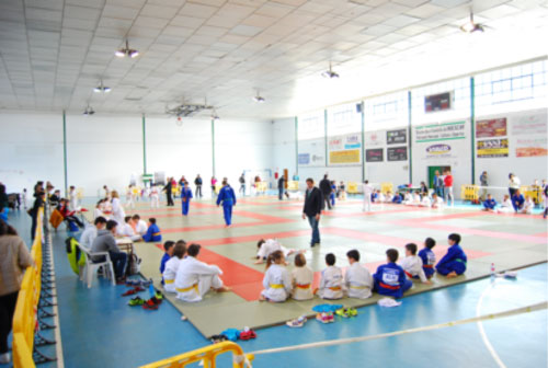 judo